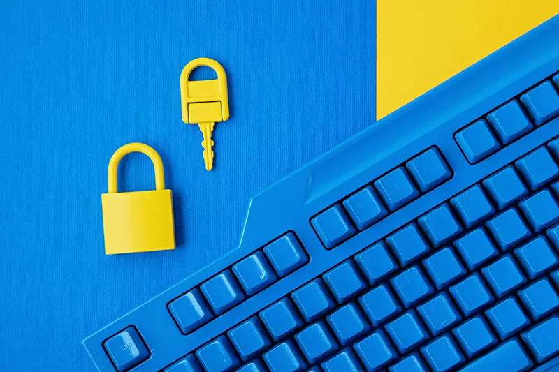 Small business website secured with SSL, backups, and privacy compliance tools